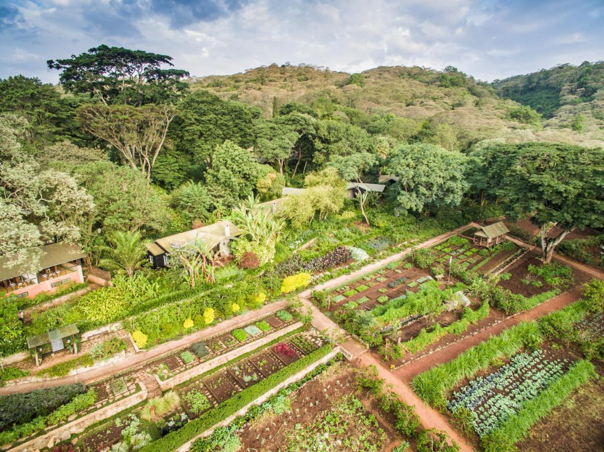 Hotel Gibb'S Farm Karatu Esterno foto
